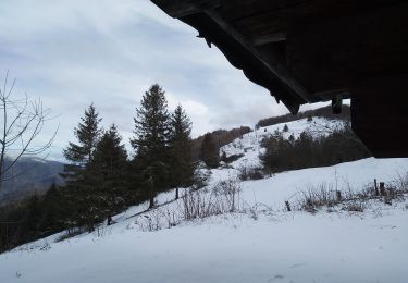 Randonnée Raquettes à neige Sewen - SewenWissgrutFennmatt - Photo