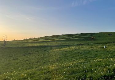 Tocht Noords wandelen Saint-Léger - Marche dans l'après-midi - Photo