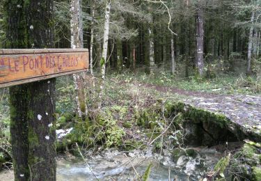 Trail Walking Brénod - 01-Chartreuse de Meyriay - Brenod - Photo