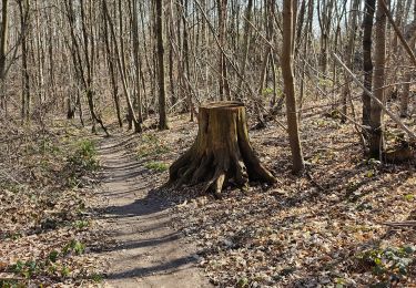 Tocht Stappen Sceaux - Fresnes - Photo