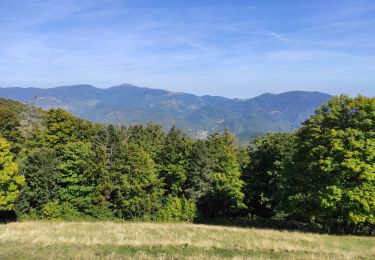 Tocht Stappen Bourbach-le-Haut - Hundsruck - Photo