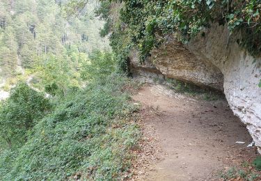 Percorso A piedi Caramanico Terme - San Nicolao - Vivaio Santa Croce - Photo