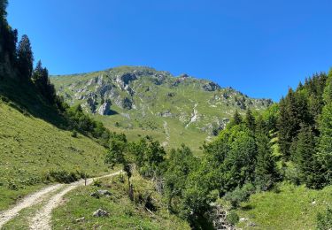 Trail Walking Châtel - Les Mattes - Photo