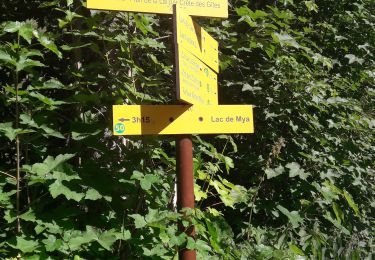 Trail Walking Bourg-Saint-Maurice - les Chapieux, refuge de la croix du bonhomme et crête  - Photo