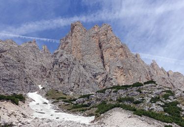 Trail On foot Auronzo di Cadore - IT-123 - Photo