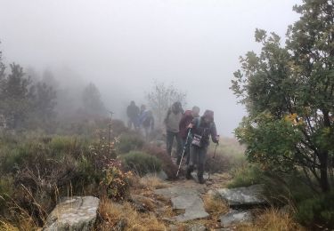 Trail Walking Aizac - Aizac-Sommet de Rouyon-La bastide sur Bésorgue - Photo