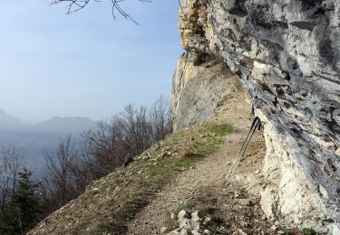 Trail Walking Saint-Jean-d'Arvey - 2021-02-26 - Photo