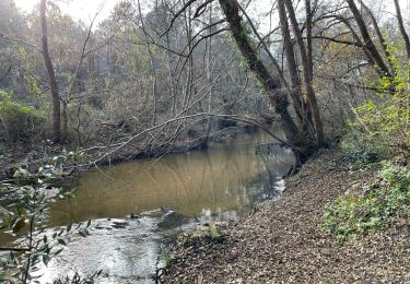 Trail Walking Saint-Médard-en-Jalles - Biges-gravettes - Photo