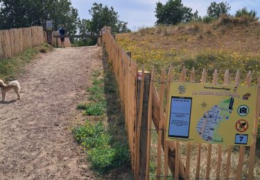 Trail Nordic walking Fort-Mahon-Plage - fort mahon 2 Isabelle  - Photo