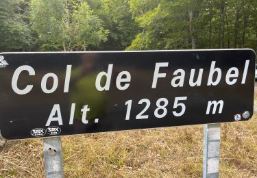 Tour Wandern Saint-Sauveur-Camprieu - Col du FAUBEL le Puey Barbut - Photo