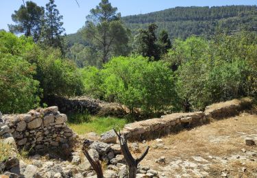 Tour Zu Fuß Regionalverwaltung Mateh Jehuda - נחל רפאים תחתון - Photo