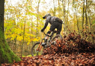 Percorso Mountainbike Spa - Circuit VTT - SPA 06 - Photo