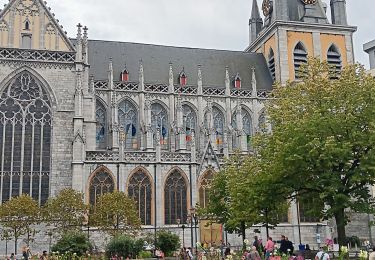Tocht Stappen Luik - cathédrale chartreuse retour  - Photo