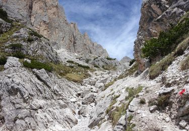 Trail On foot Auronzo di Cadore - IT-152 - Photo