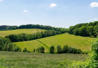 Percorso A piedi Höxter - Lütmarsen Rundweg LM6 - Photo