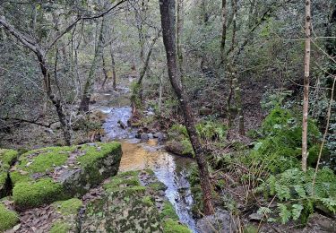 Tocht Stappen Malbosc - de Chams en hameaux  - Photo