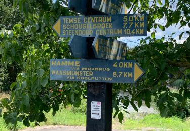 Tour Rennrad Bornem - Stille waters - Photo