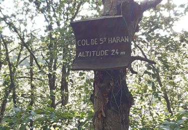 Tour Wandern Plestin-les-Grèves - boucle St Haran raccourcie - Photo