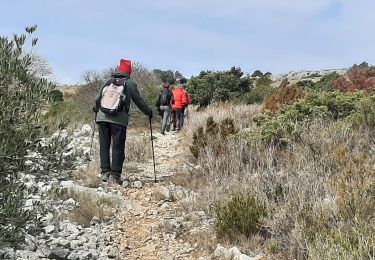 Excursión Senderismo Opoul-Périllos - opoul - Photo