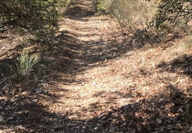 Tocht Stappen Manosque - Crématorium crête du Luberon - Photo