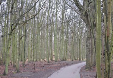 Trail On foot Bloemendaal - AWD-Pannenland-Blauw - Photo
