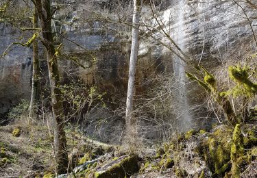 Tocht Mountainbike La Tour-du-Meix - parcour pont lapyl club - Photo