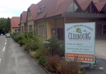 Trail On foot Wissembourg - Disque vert - Photo