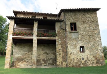 Tocht Te voet Montesquiu - Castell de Montesqiu-Coll dels Tres Pins - Photo