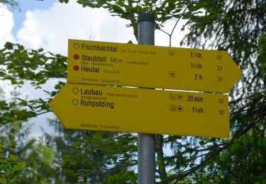 Tocht Te voet Ruhpolding - Wanderweg 30 (Laubau - Staubfall) - Photo