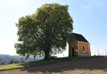 Tocht Te voet Feldbach - Himmel Erden Weg - Photo