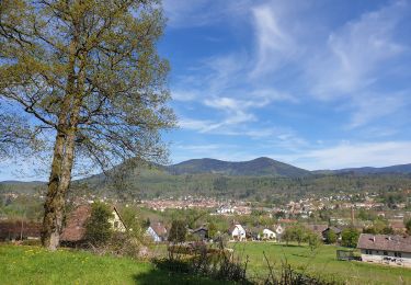 Trail Walking Muhlbach-sur-Bruche - Les chaumes de Grendelbruch - Photo