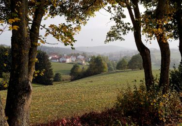 Trail On foot Rattiszell - Faltl-Edi-Weg - Photo