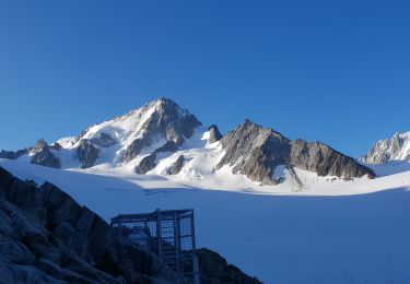 Percorso Marcia Chamonix-Mont-Blanc - reguge de Trient par le col du tour - Photo