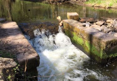 Randonnée Marche Oberbronn - Zonswiller - Photo