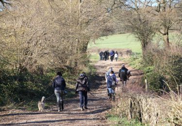 Tocht Stappen Theux - 2022.02.28 Bios Jehanster 8km - Photo