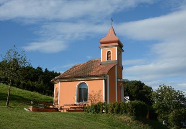 Excursión A pie Bad Loipersdorf - Kleiner Höhenrundweg (Weg 5) - Photo