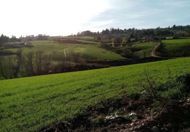 Randonnée Marche Vaugneray - boucle autour de Vaugneray  - Photo