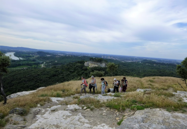 Trail On foot Beaucaire - L'Aiguille - 30 BEAUCAIRE - Photo