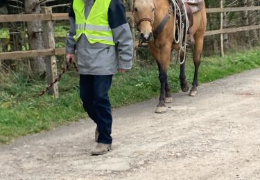 Trail sport Métairies-Saint-Quirin - Rond pré avec Lola et shine  - Photo