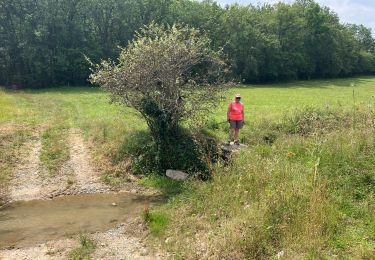 Trail sport Castelnau-de-Montmiral - Chemin de Gradille avec chapelle  - Photo