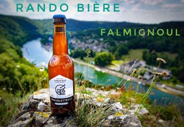 Randonnée Marche Dinant - Rando bière : Falmignoul - Photo