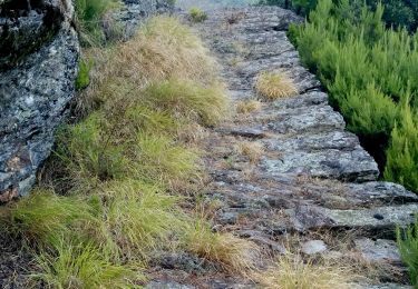 Tour Zu Fuß Seravezza - Sentiero Alta Versilia - Tappa 04 - Basati - Cave del Giardino - Terrinca - Photo