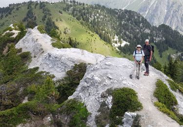 Tocht Stappen Pralognan-la-Vanoise - mont charvet pralognan - Photo