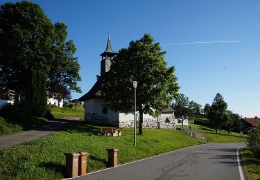 Trail On foot Neuschönau - Laubbaum - Photo
