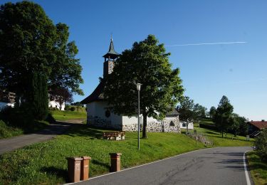 Randonnée A pied Neuschönau - Laubbaum - Photo