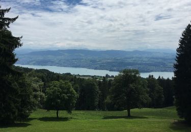 Tocht Te voet Meilen - Meilen - Toggwil - Photo