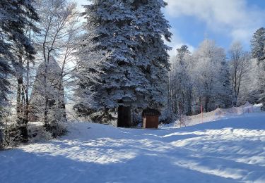 Tocht Sneeuwschoenen Les Déserts - 111222 Boucle l'oriente Nivollet - Photo