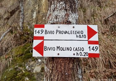 Trail On foot Castel di Casio - IT-167B - Photo