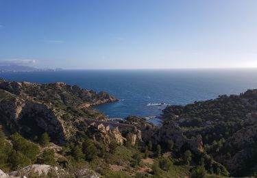 Tocht Stappen Le Rove - La côte bleue  - Photo