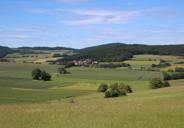 Randonnée A pied Gladenbach - Wollenbergweg - Photo